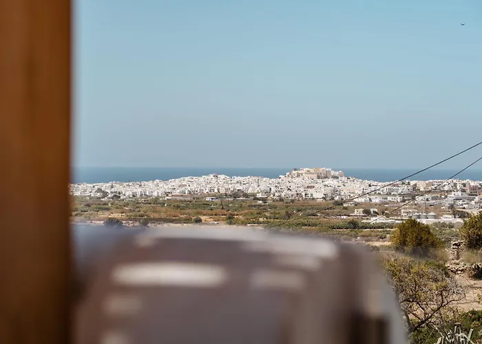 Naxos Elysian Galanado